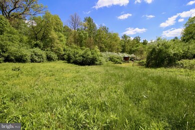 22064 Sam Fred Rd, Middleburg, VA 20117 - photo 4