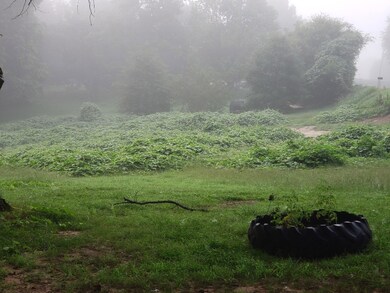 7965 Reynoldsburg Rd, Springville, TN 38256 - photo 5