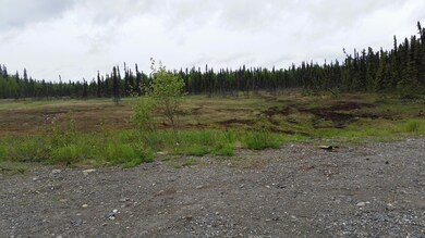 Tracks leaving parking area