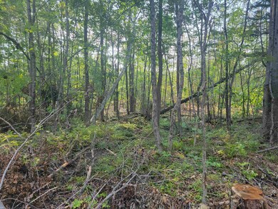 7-428 Wyman Rd, Grafton, NH 03240 - photo 4