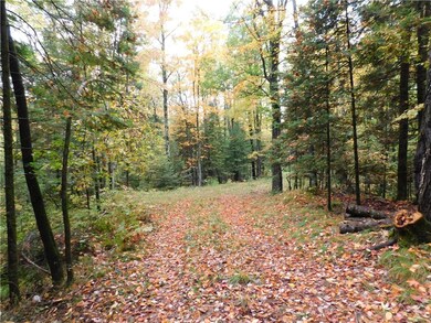 driveway inside of gate looking toward clearing