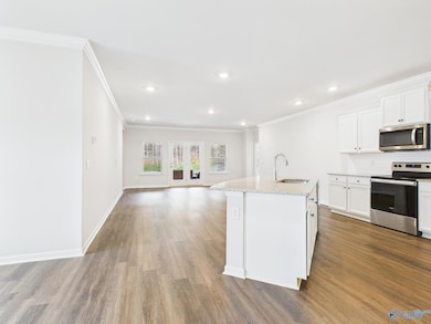 unlisted-address, Harvest, AL 35749 - photo 3