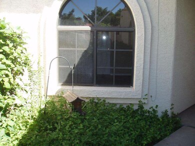 Charming arched windows
