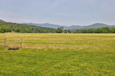 With a veiw across the meadow to the mountain