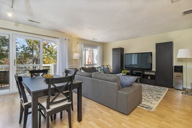 391 Hyde Park Ave unit 210, Roslindale, MA 02131 - photo 4