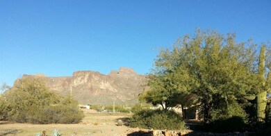 View from backyard
