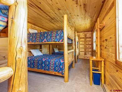 21267 Ward Creek Rd, Cedaredge, CO 81413 - photo 4