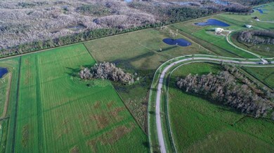 trailside aerial 7
