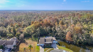 5904 Springrun Ct, Holiday, FL 34690 - photo 3