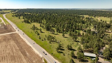 10324 Pine Song Place, Parker, CO 80138 - photo 4
