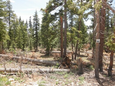 Lot Picture 1