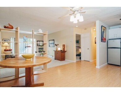 29 Custer St unit 304, Jamaica Plain, MA 02130 - photo 2