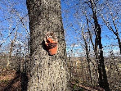 0 E Mountain Rd, Pleasant Mount, PA 18453 - photo 7