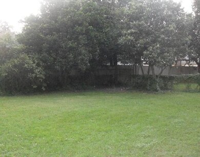 Backyard.