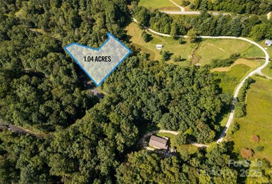 Lot 7 Sweetwater Ridge Rd unit 7, Balsam Grove, NC 28708 - photo 5