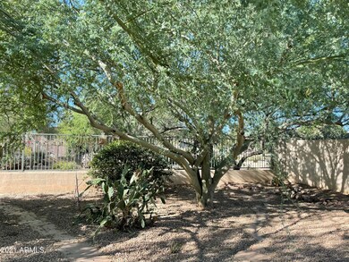 25236 N 41st Ave, Phoenix, AZ 85083 - photo 7