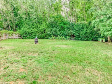 Back yard