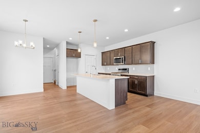 1131 Butler Creek Ave, Belgrade, MT 59714 - photo 5