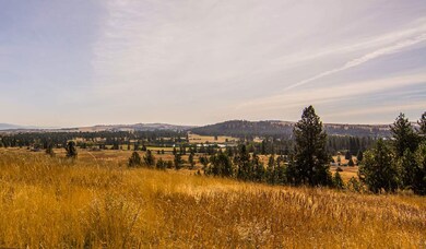 1106 N Courtney Ct, Medical Lake, WA 99022 - photo 4