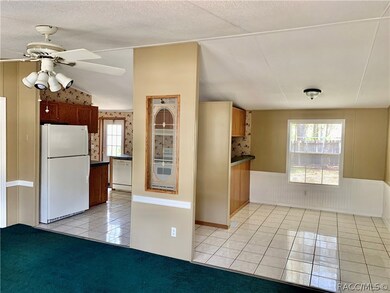 2101 N Blue Max Point, Hernando, FL 34442 - photo 3
