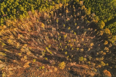 0 Sand Hill Rd unit 11389907, Brandon, MS 39047 - photo 4