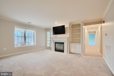 12021 Tralee Rd unit 504, Lutherville Timonium, MD 21093 - photo 6