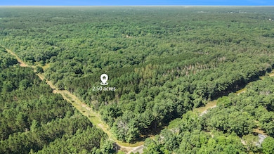 Aerial without Estimated Lot lines