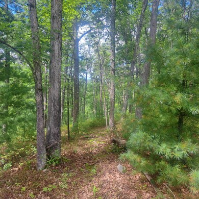 297 Big Bridge Hollow Rd, Little Marsh, PA 16950 - photo 5