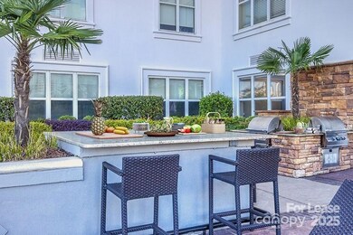 909 Camden Grandview Rd unit B6-A, Charlotte, NC 28202 - photo 3