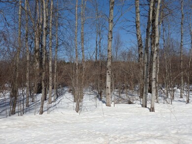 0 Bigge Rd unit 15010075, Kaleva, MI 49645 - photo 7