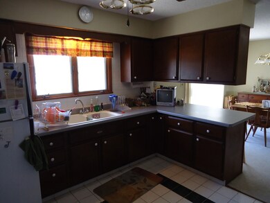 981 Elm Place, Princeton, IL 61356 - photo 5