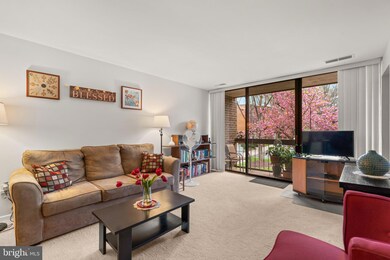 8715 Hayshed Ln unit 21, Columbia, MD 21045 - photo 4