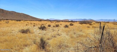 Lot 3 Highway 181 unit 3, Elfrida, AZ 85610 - photo 2