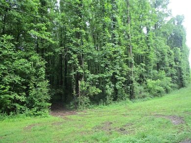 View of wooded area
