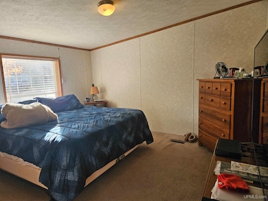 610 S 4th St, Ontonagon, MI 49953 - photo 4