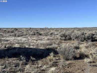 0 Kna Rolfs Point Rd unit TL4300 677241032, Christmasvalley, OR 97641 - photo 4