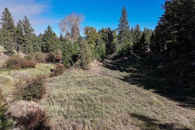 Tbd Clancy Creek Rd unit A5, Clancy, MT 59634 - photo 5