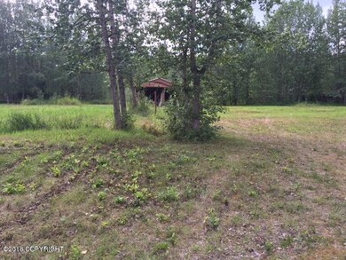 Mi 2 Nugget Creek Rd, Chitina, AK 99566 - photo 7