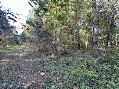 00 Plainview Dr, Saluda, VA 23149 - photo 7