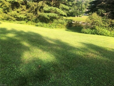 3936 Alliance Rd, Rootstown, OH 44272 - photo 5