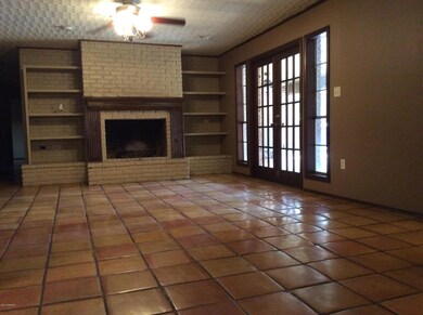 Den/Fireplace