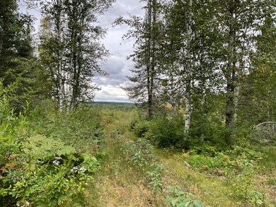 163 Pancore Lake Rd, Tofte, MN 55615 - photo 6