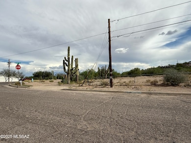 3902 S Mission Rd unit 1, Tucson, AZ 85746 - photo 6