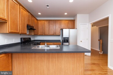 29 Honey Locust Ct, Lafayette Hill, PA 19444 - photo 5