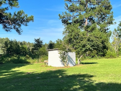 809 Ga Highway 56, Uvalda, GA 30473 - photo 7