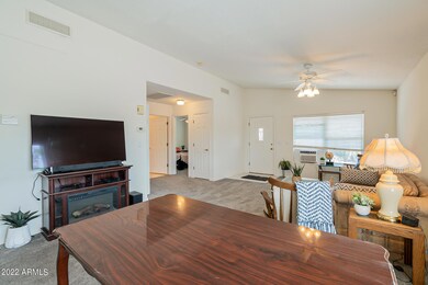 Royal Palm-10