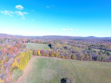 DJI_0130