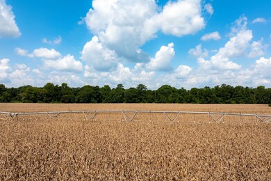 Home Place, Edison, GA 39846 - photo 5