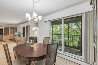 35 Nathan Ln N unit 312, Plymouth, MN 55441 - photo 7