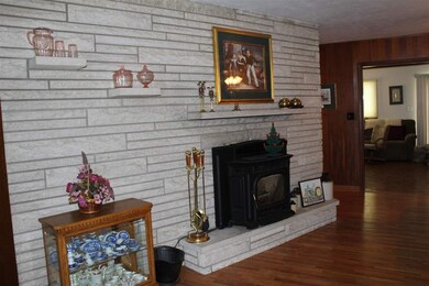 Wood Pellet Fire Place